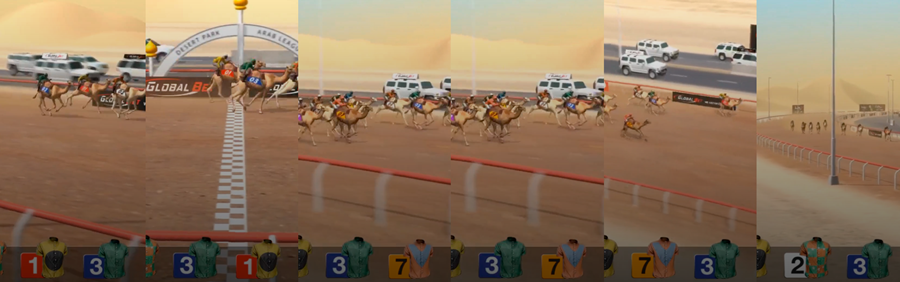 مراهنات حية على سباق الهجن